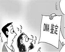 广西区怀孕需要怎么办理DNA亲子鉴定，广西区怀孕亲子鉴定具体流程